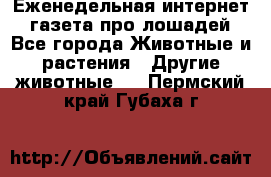 Еженедельная интернет - газета про лошадей - Все города Животные и растения » Другие животные   . Пермский край,Губаха г.